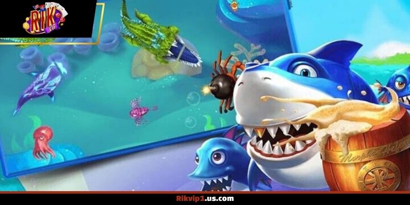 Những lưu ý giúp tối ưu trải nghiệm săn cá